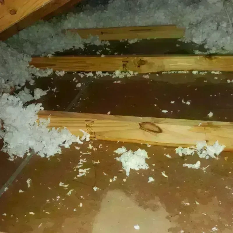 Attic Water Damage in Las Marias, PR